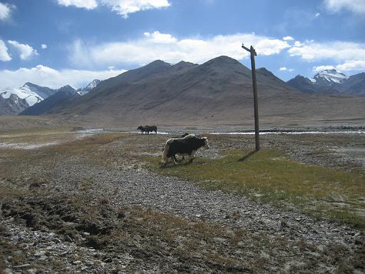 2007-09-03 11-40-55.jpg